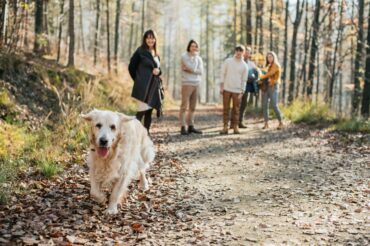 Jesienna sesja rodzinna w środku lasu – Bielsko-Biała
